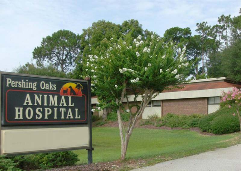 Carousel Slide 7: Pershing Oaks Animal Hospital, Pershing Oaks